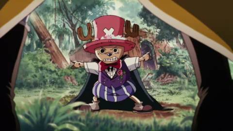 Why Does Chopper Change His Hat