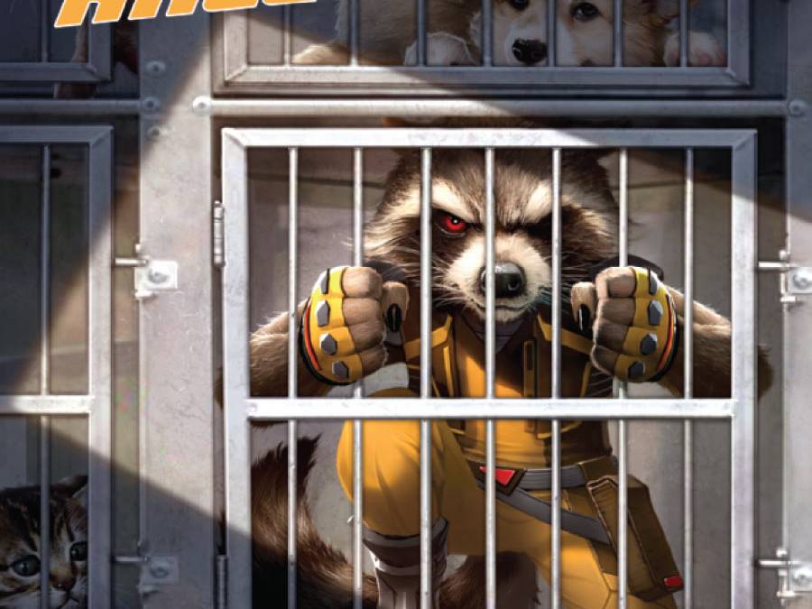 Rocket Raccoon #1