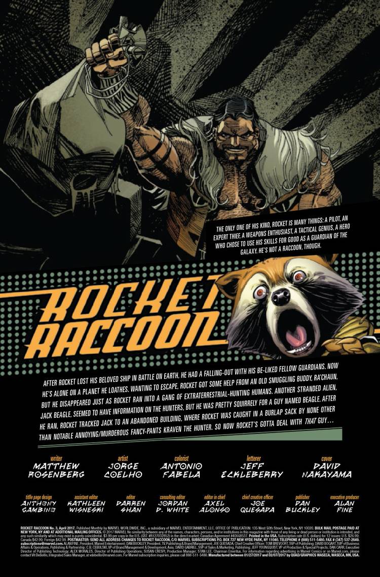 Rocket Raccoon #3