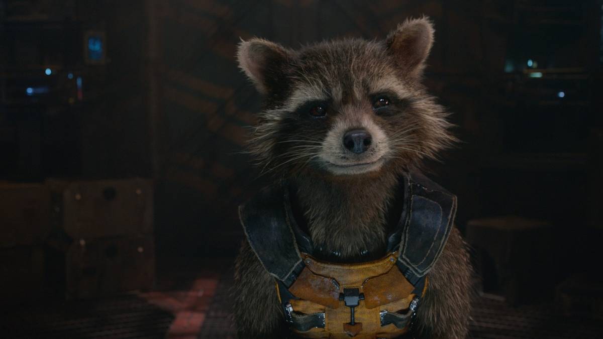 James Gunn Promises Rocket Raccoon's Origin