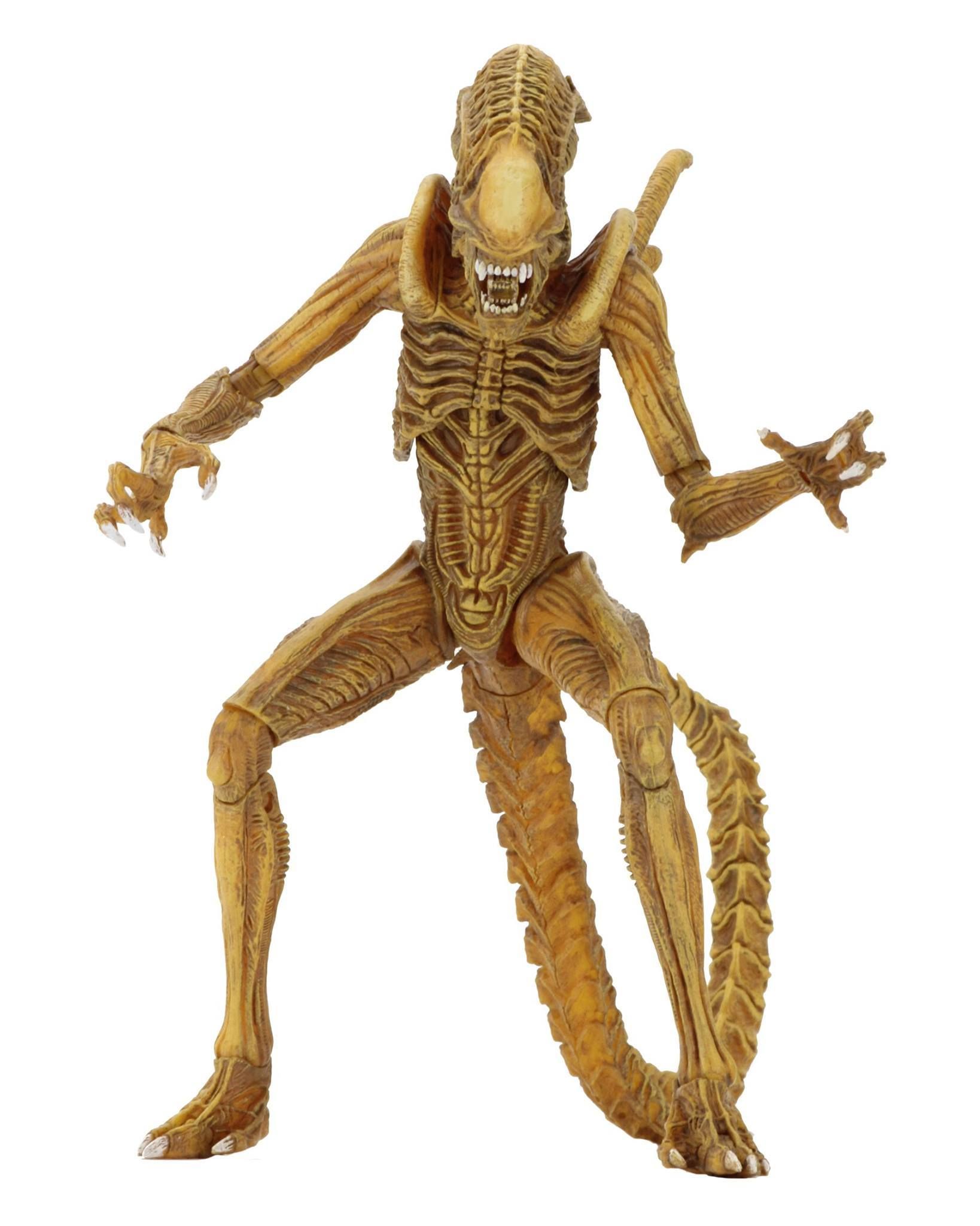 TMNT SDCC Pizza Monster Figures