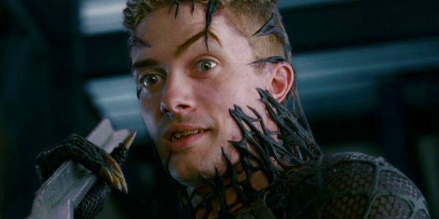Sandman Actor Says Sam Raimi's Spider-Man 4 May Finally Happen