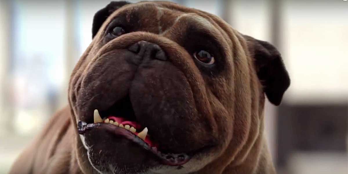 New Inhumans Trailer Features Lockjaw & Terrigenesis CBR