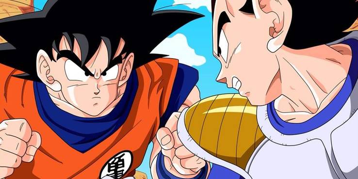 Dragon Ball Z Goku Vegeta