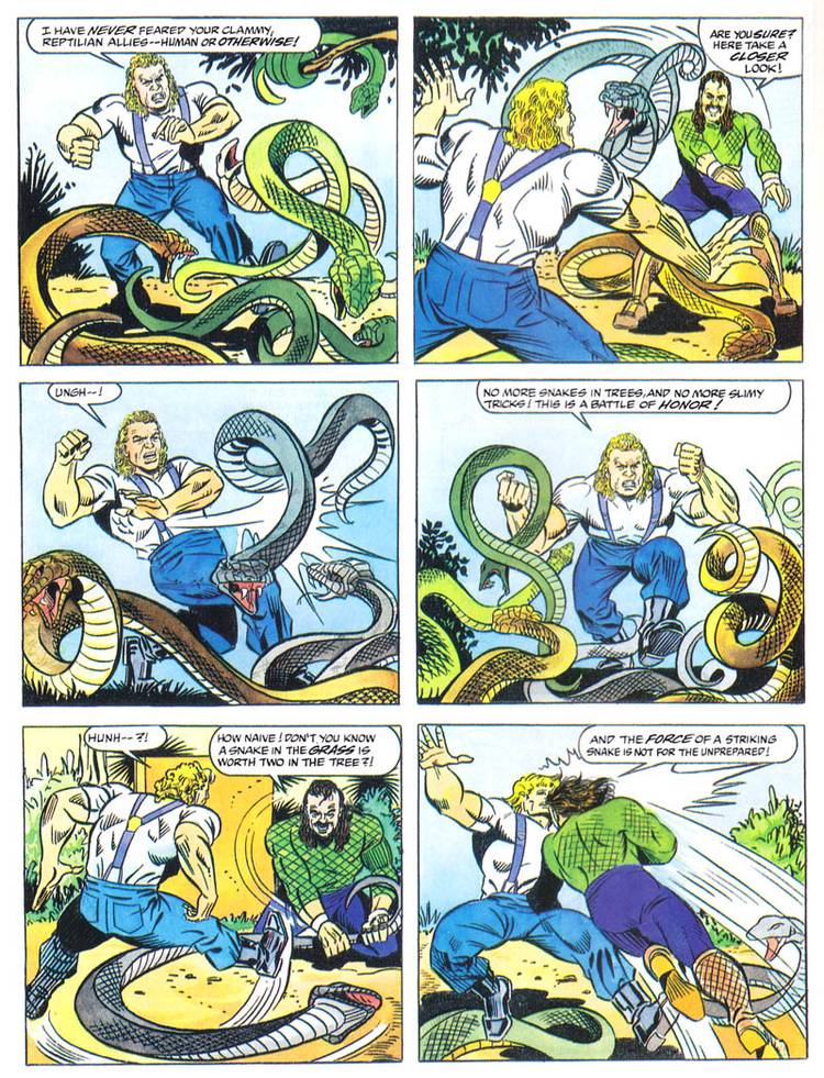 The Odd Reason Behind Steve Ditko Doing a WWF Comic!