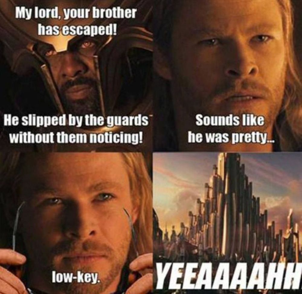 The Best Thor Memes On The Internet Cbr