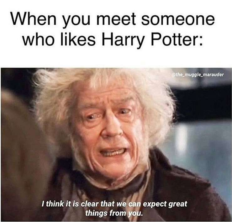 Harry Potter Memes Cbr