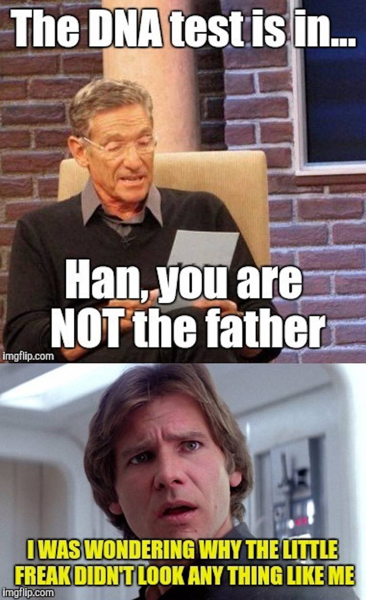 Star Wars Solo Family Memes, image size:750x1229