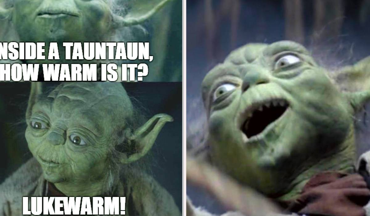 Hilarious Yoda Memes