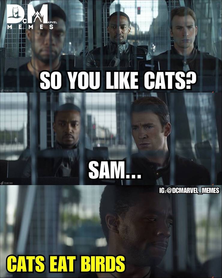 Black Panther Memes Cbr