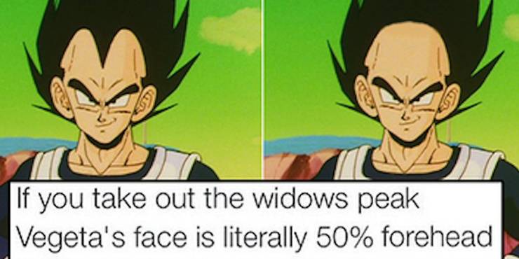 Funny Vegeta Memes Cbr