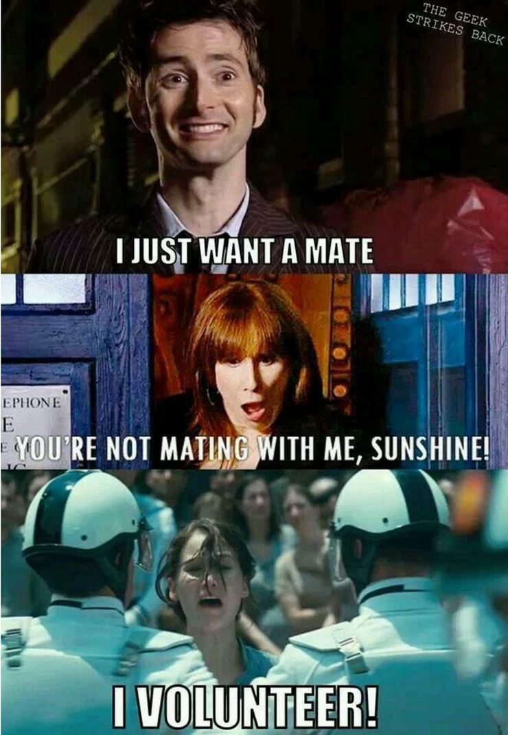 Hilarious Memes From The Hunger Games Film Series Cbr Hilarious Memes From The Hunger Games Film Series Cbr