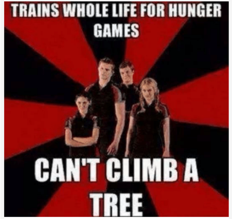 25 Best Memes About Hunger Games Tribute Hunger Games