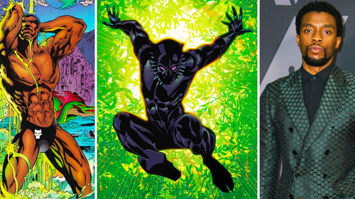 7 Weird Facts About Black Panther's Body (And 8 Weirder Ones About His ...