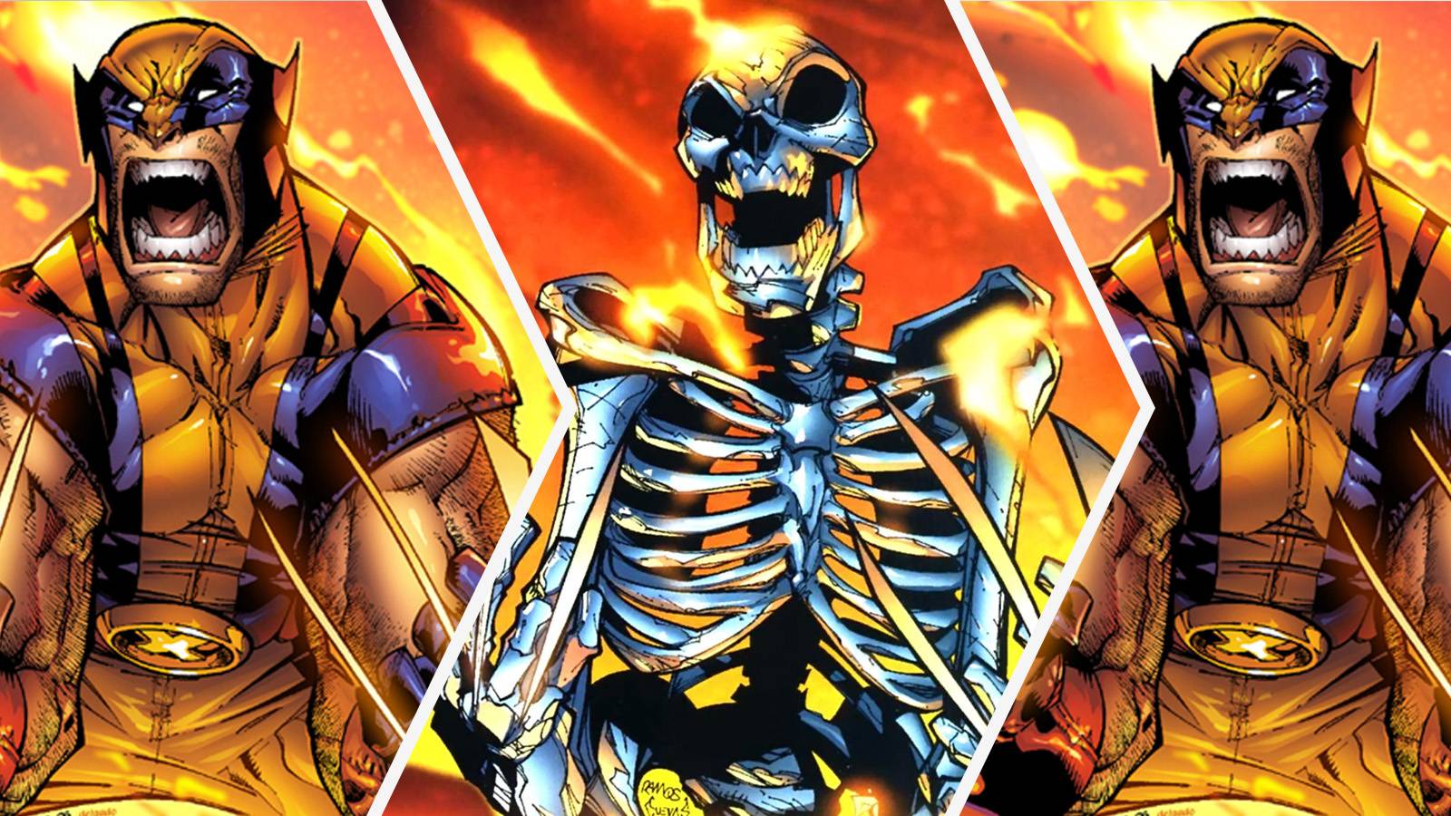 Wolverine Facts: Superpowers And Major Weaknesses