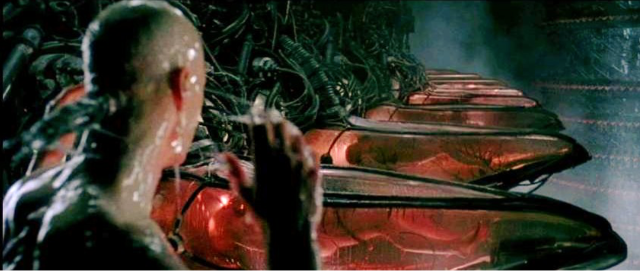 What Is the Full Story of the Matrix?