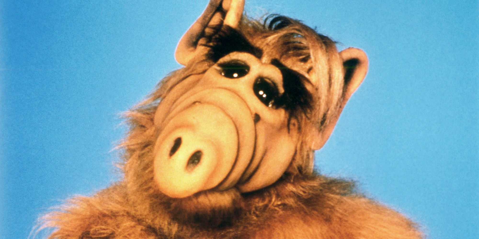 ALF TV Reboot in the Works From Warner Bros. | CBR