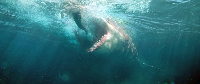 How Did The Meg Earn a PG-13 Rating From the MPAA?