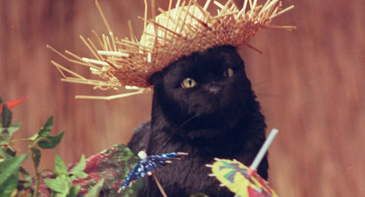 The Secret Hocus Pocus and Sabrina The Teenage Witch Connection You Never Knew 3 Sabrina the Teenage Witch