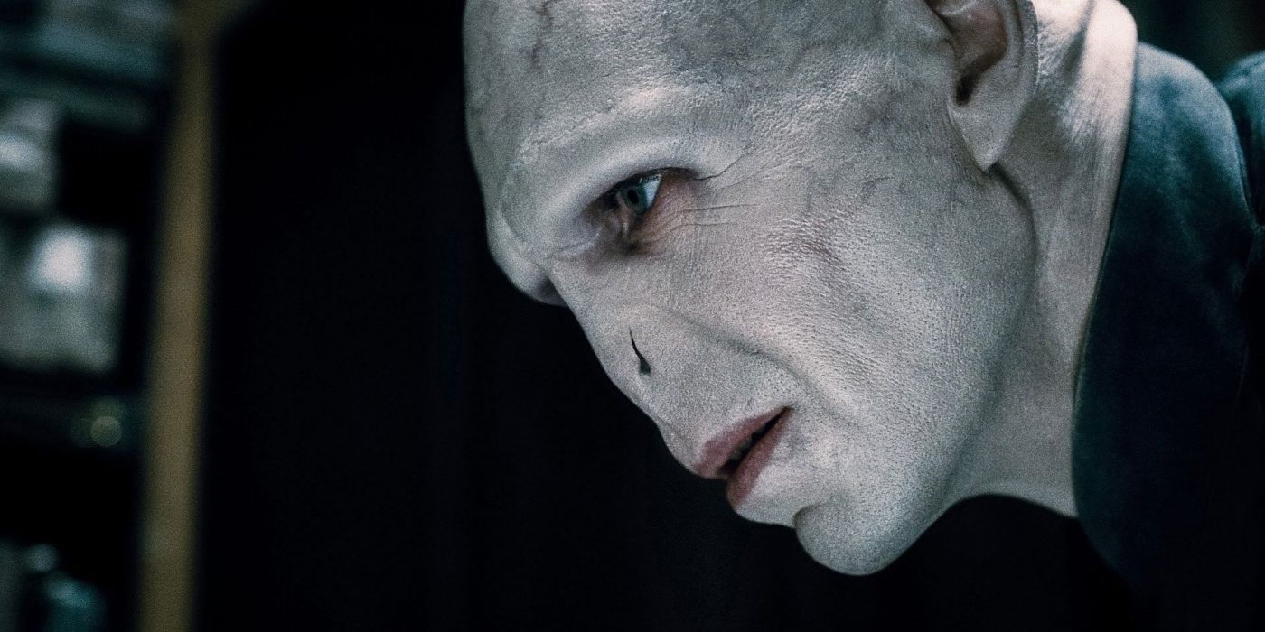 Do You Know You-Know-Who?: Facts Fans Forget About Voldemort
