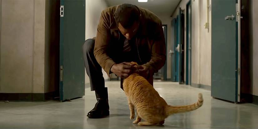 Captain Marvel’s Goose the Cat Is the MCU’s Next Breakout Star