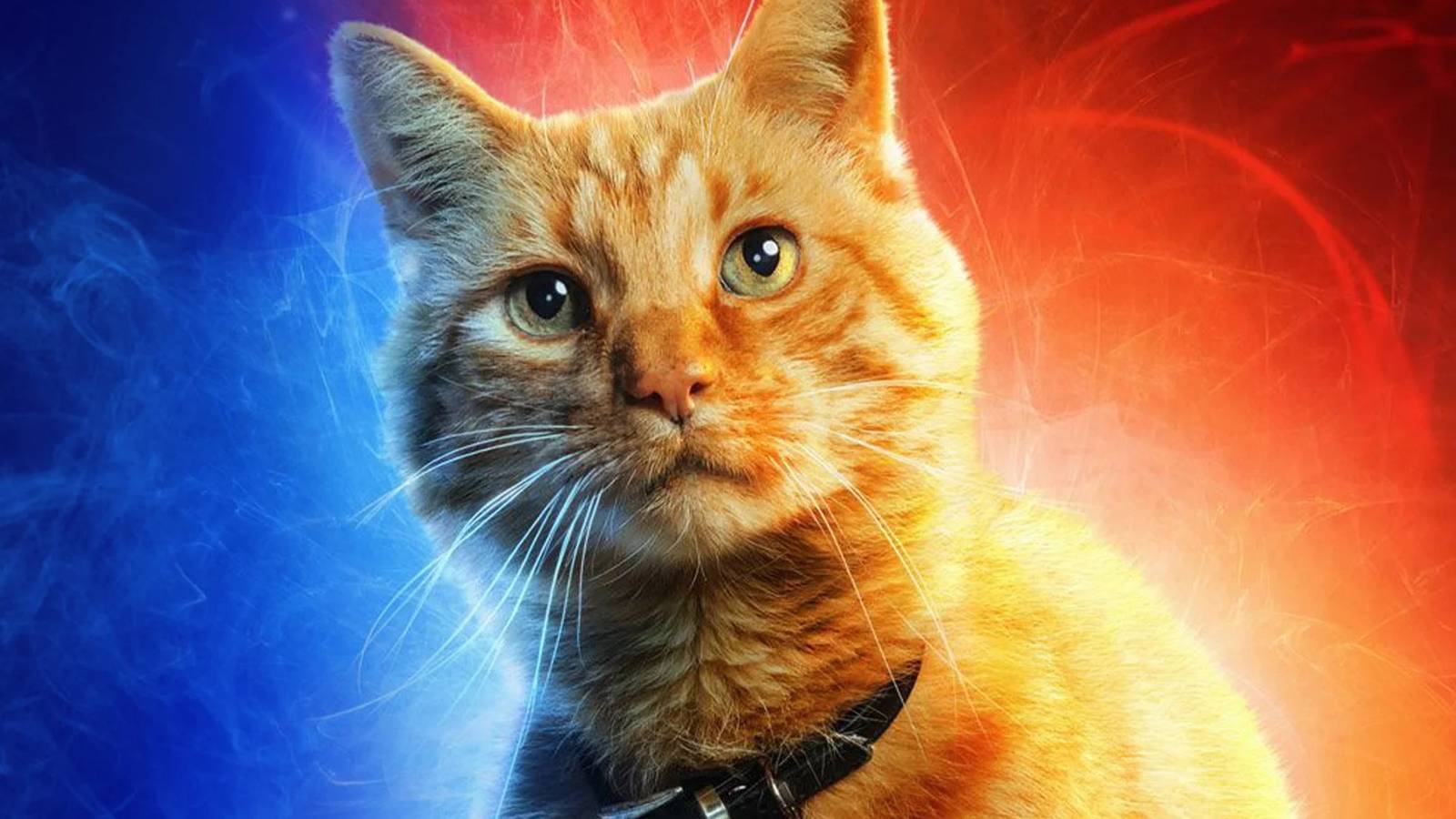 Captain Marvel: Everything You Need To Know About The Flerken