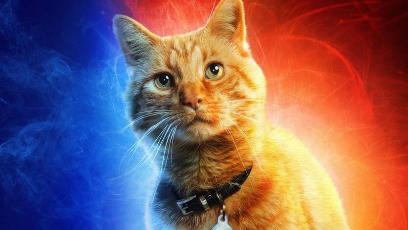 Captain Marvel: Everything You Need To Know About The Flerken