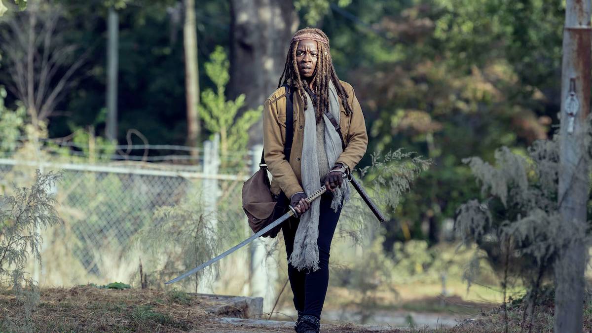 The Walking Dead Finally Explains Daryl and Michonne's Scars