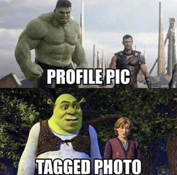 Featured image of post Professor Hulk Shrek Back to the future rick and morty donnie darko mashup mashups hybrids