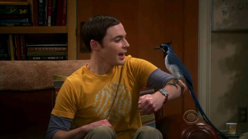 Big Bang Theory: 15 Storylines That Were Never Resolved