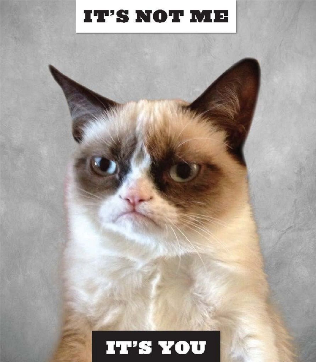 Grumpy Cat: World Bids Farewell To Meme Sensation