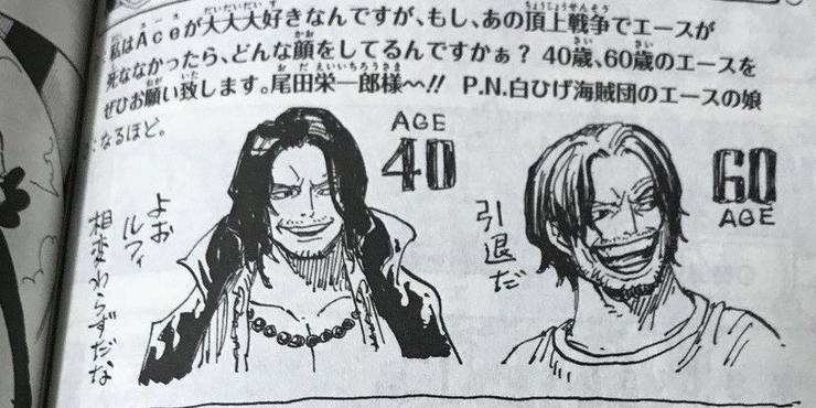 One Piece 15 Things About Marco Fans Never Knew Cbr One Piece 15 Things About Marco Fans Never Knew Cbr