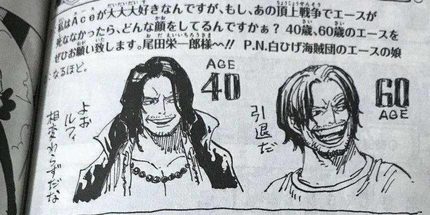 One Piece 15 Things About Marco Fans Never Knew Cbr One Piece 15 Things About Marco Fans Never Knew Cbr