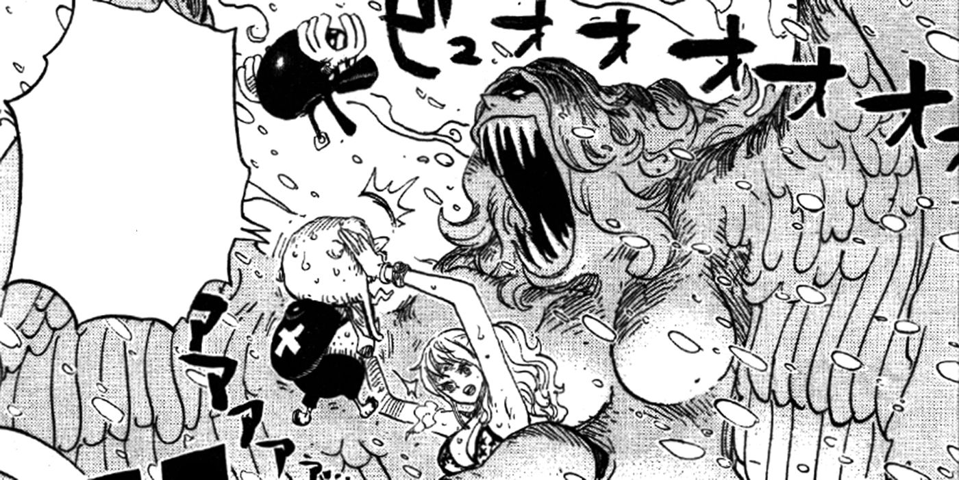 One Piece 10 Weird Things You Never Knew About Chopper Cbr
