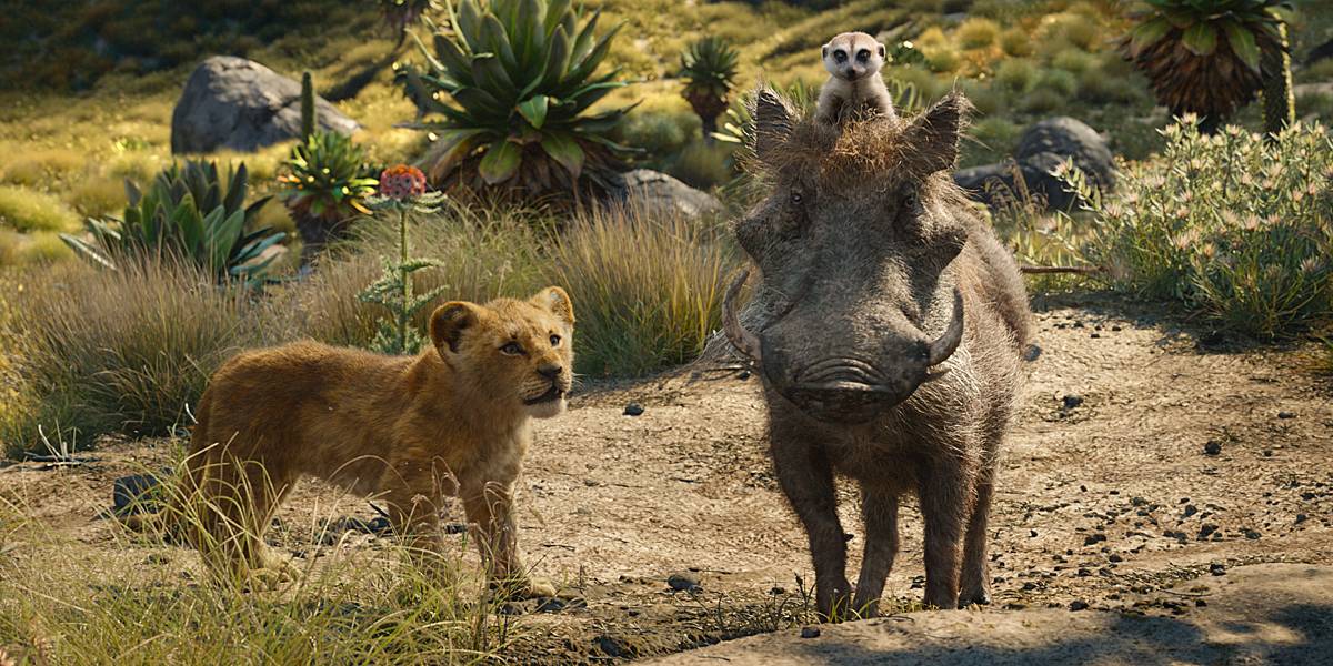 'I Want A Musical:' Mufasa Actor Pitches Timon & Pumbaa Spinoff Series