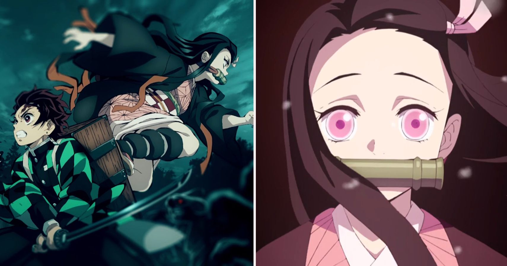 Demon Slayer: 10 Things You Didn't Know About Nezuko Kamado from stati...