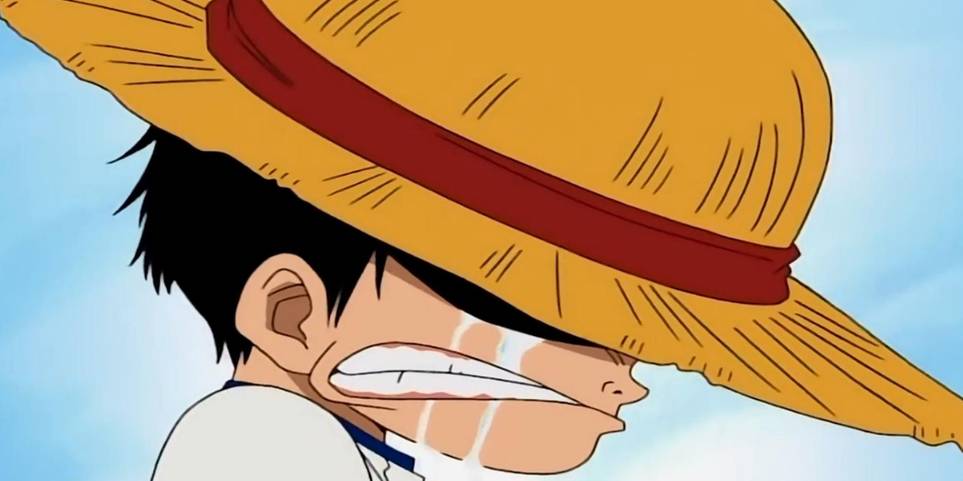 One Piece 10 Facts You Didn T Know About Luffy S Family Cbr One Piece 10 Facts You Didn T Know About Luffy S Family Cbr