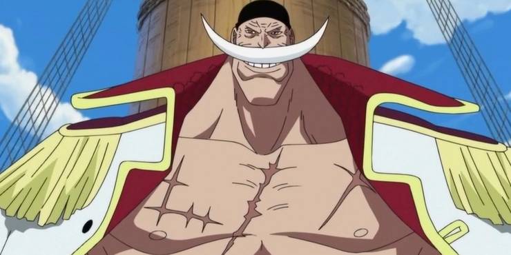 7. Captain Whitebeard from One Piece Captain Whitebeard was known as the world's strongest man during his full-blown career as a commander. He had titanic physical strength, endurance, and stamina, along with the move that allows him to send tremors through the land.