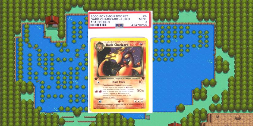 Pokmon TCG: The 10 Most Unbelievably Rare Gen II Cards That Are Worth A  Fortune, Ranked