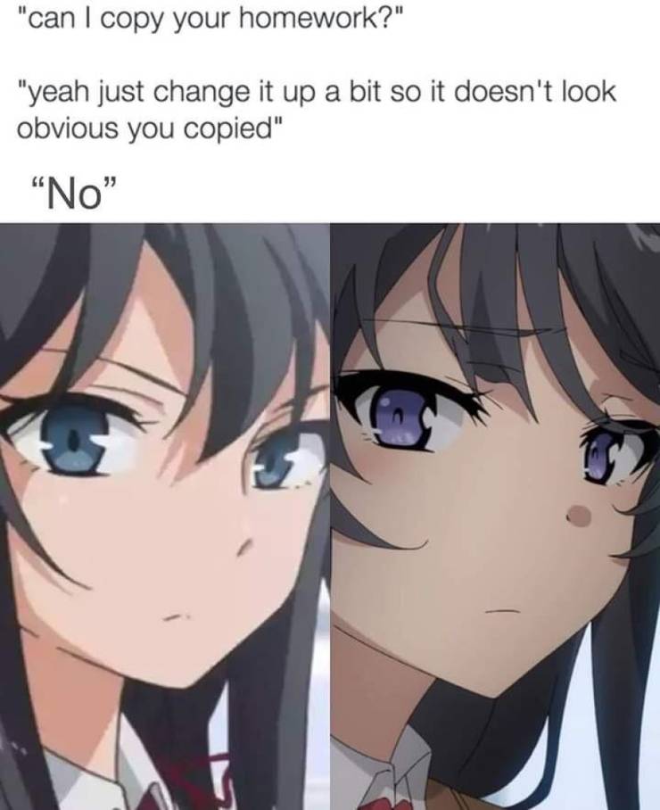 10 Rascal Does Not Dream Of Bunny Girl Senpai Memes That Are Too Hilarious For Words 10 Rascal Does Not Dream Of Bunny Girl Senpai Memes That Are Too Hilarious For Words