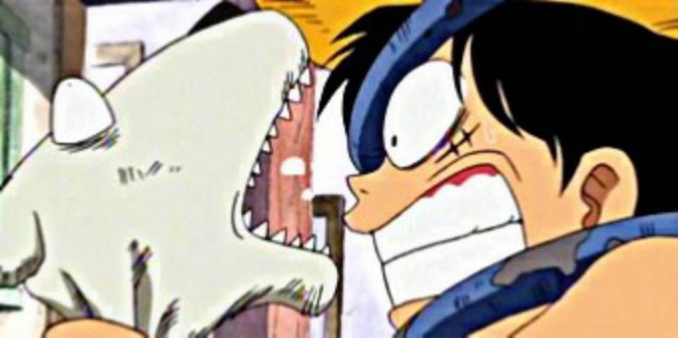 One Piece 10 Facts Trivia You Didn T Know About The Voice Of All Things One Piece 10 Facts Trivia You Didn T Know About The Voice Of All Things