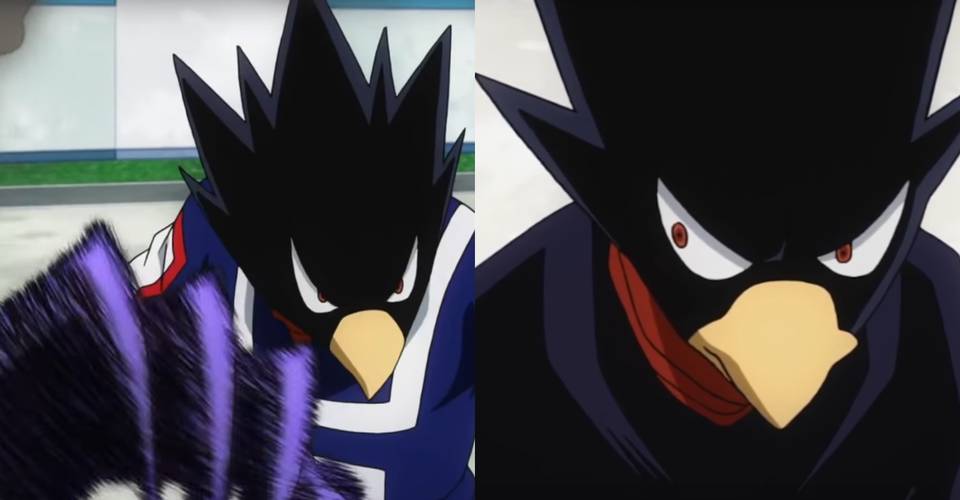 My Hero Academia 10 Facts You Didn T Know About Fumikage Tokoyami