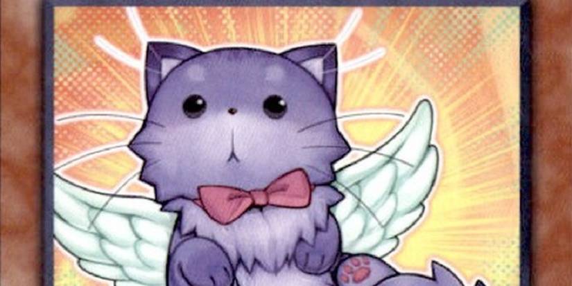 fluffal yugioh cards Amazon.com: YU-GI-OH! - Fluffal Leo (NECH-EN015) - The New Challengers -  1st Edition