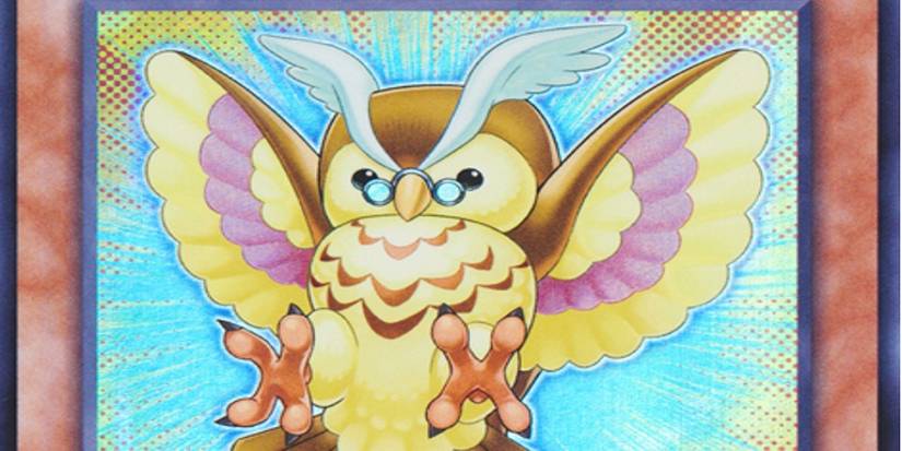 Yu-Gi-Oh!: Cutest Decks Ever