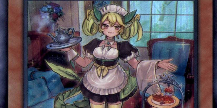 Yu-Gi-Oh! Best Dragonmaid Cards Yu-Gi-Oh! Best Dragonmaid Cards