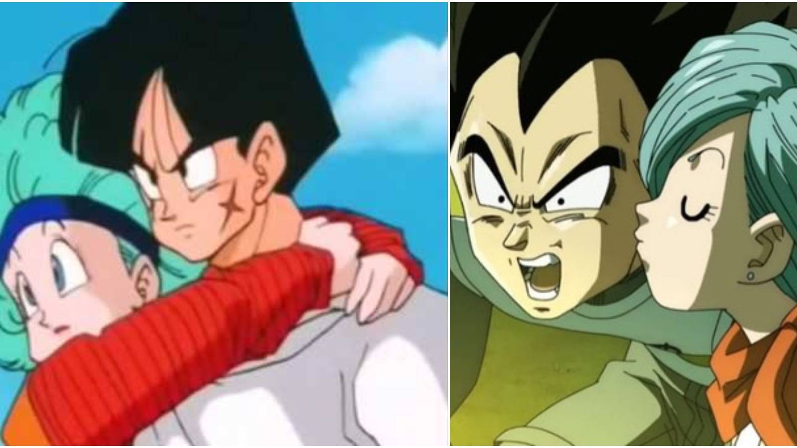 How Did Bulma End Up With Vegeta