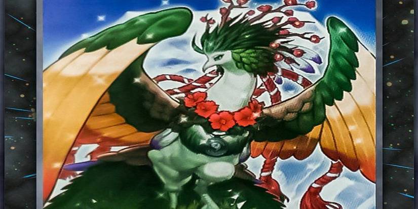 Yu-Gi-Oh!: Best Plant Xyz Monsters