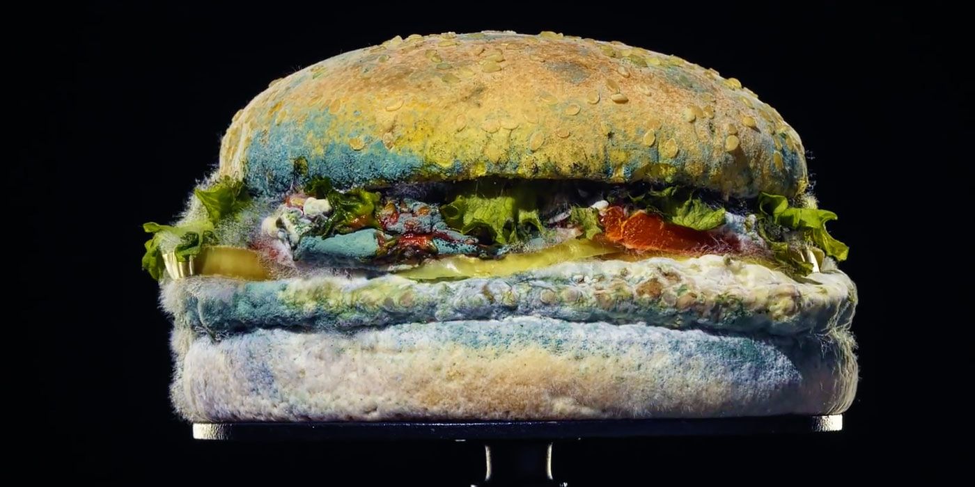 Burger King Is Using Actual Moldy Food to Sell Its Whopper | CBR