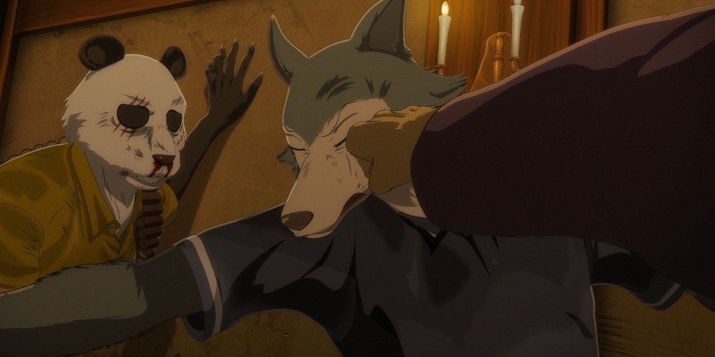 Everything We Know About Beastars Season 3 (So Far)