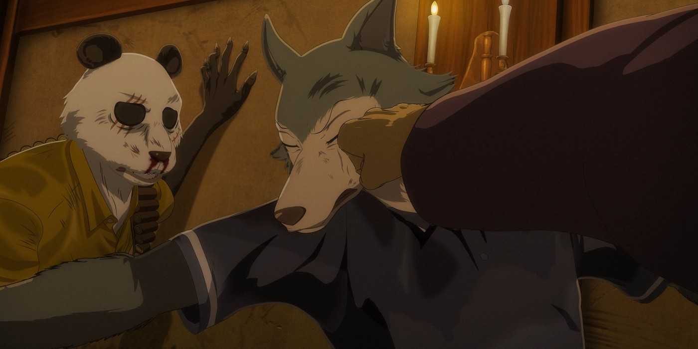 Beastars Rival Everything We Know About Beastars Season 3 (So Far)